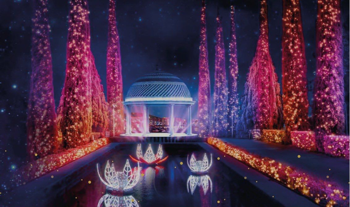 Luces del jardín botánico de Málaga