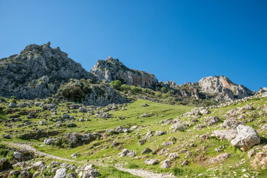 Sendero entre montañas